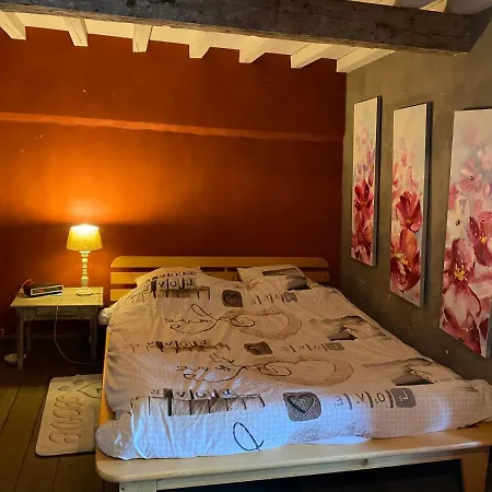 Cabanon 펜션 비엘살름